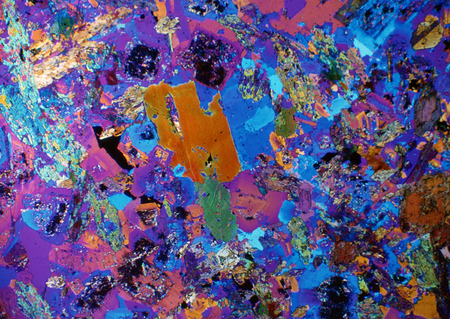 Cell Gene Microscopic Series