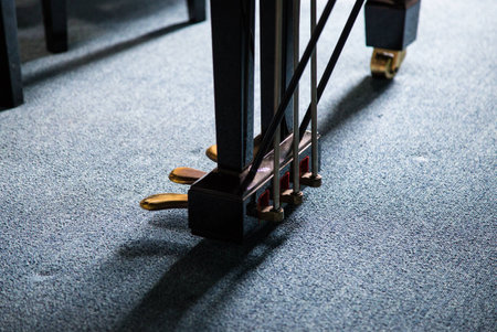 Piano pedal use for make various sound