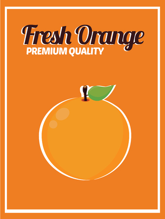 Orange Isolated.Fruit Vector. Fruit. Leave. Posterのイラスト素材
