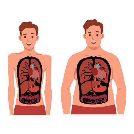 Fat and skinny man inside body. Flat vector illustration isolated on white backgroundのイラスト素材