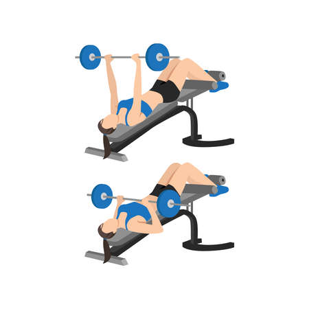 Woman doing Decline barbell bench press exercise. Flat vector illustration isolated on white backgroundのイラスト素材