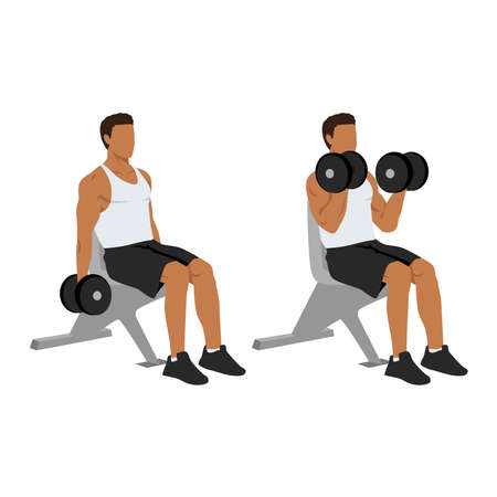 Vector of Man doing seated dumbbell - ID:1-178880260 - Royalty Free ...
