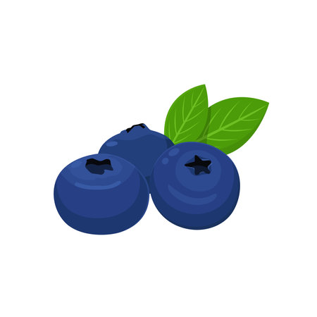 Flat vector of blueberries isolated on white background. Flat illustration graphic iconのイラスト素材