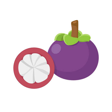 Flat vector of Mangosteen isolated on white background. Flat illustration graphic iconのイラスト素材
