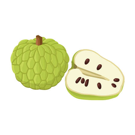 Flat vector of Custard sugar apple or Srikaya, Annona squamose isolated on white background. Flat illustration graphic iconのイラスト素材