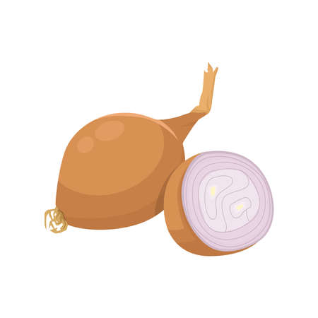 Flat vector of Shallot isolated on white background. Flat illustration graphic iconのイラスト素材