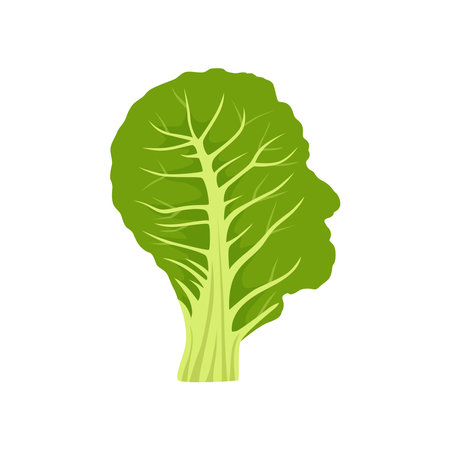 Flat vector of Collard Greens isolated on white background. Flat illustration graphic iconのイラスト素材