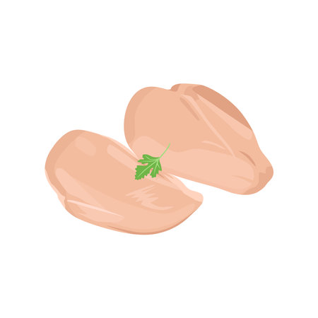 Flat vector of Raw Chicken Breast isolated on white background. Flat illustration graphic iconのイラスト素材