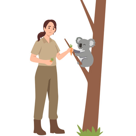 Woman Feeding a Koala on a Tree. Flat vector illustration isolated on white backgroundのイラスト素材