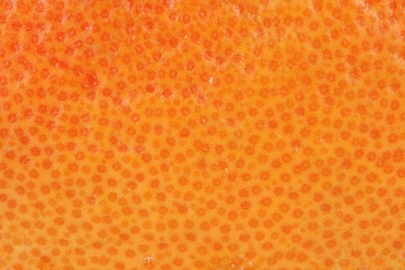 Macro with skin of an grapefruit fruit texture.の写真素材