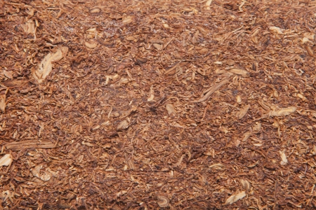 Texture of tobaccoの写真素材