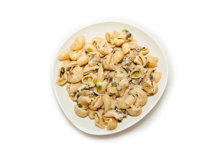 Macaroni with cream sauce, mushrooms and spicesの写真素材
