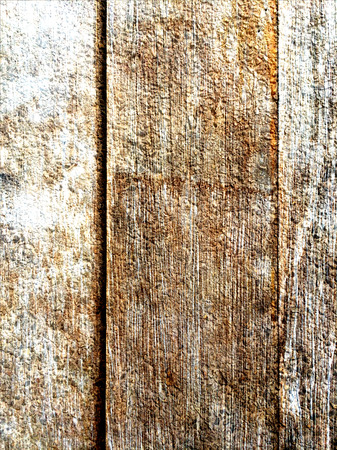 Wood deck and tree based grunge textureの写真素材