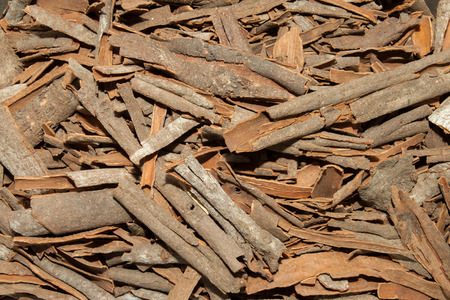 Cinnamon sticks の写真素材