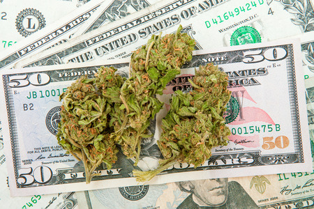 Marijuana and Dollar notesの写真素材