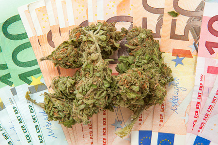 Marijuana and euro notesの写真素材