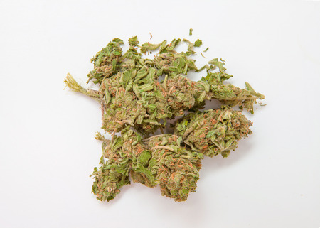 Marijuana budの写真素材