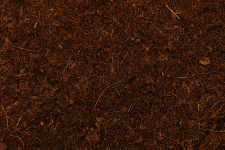 Soil backgroundの写真素材