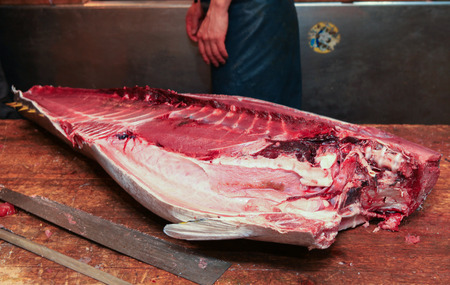 Fresh tuna meatのeditorial素材