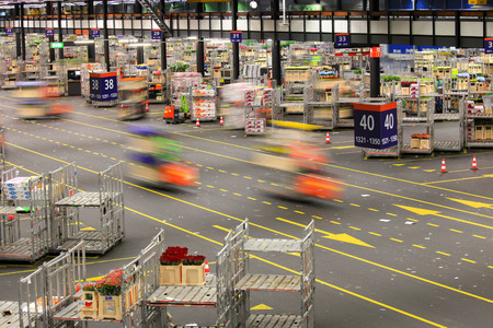 Auction floor at Aalsmeer floraholland largest flower auction the the world