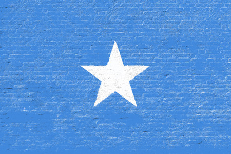 Somalia - National flag on Brick wallの写真素材