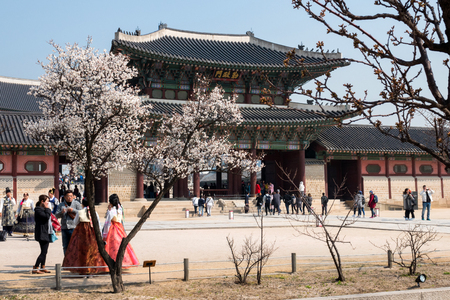 Locals and tourists at Gyeongbokgung palace, the main royal palace of the Joseon dynasty. Built in 1395, located in northern Seoul, South Koreaのeditorial素材