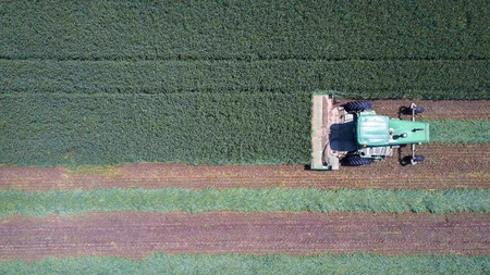 Combine harvester in a green field - Aerial imageの写真素材
