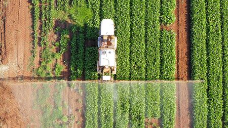 Pesticide Sprayer Tractor working on a large field.の写真素材