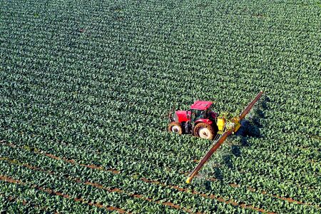 Pesticide Sprayer Tractor working on a large field.の写真素材