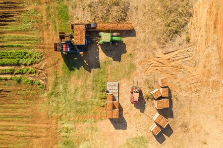 Aerial view of a Carrot picking discharge station with Green tractorの写真素材