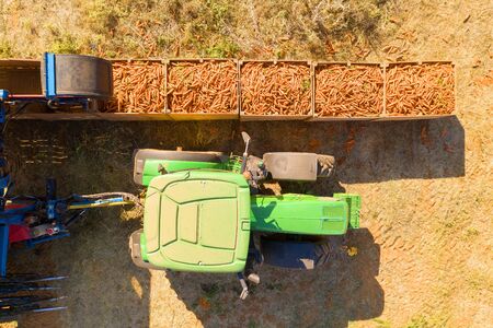 Aerial view of a Carrot picking discharge station with Green tractorの写真素材