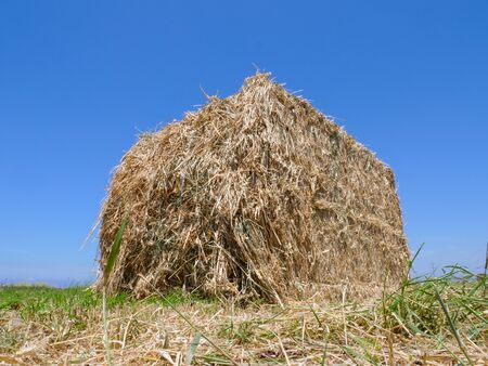 Large square Hay Bale in a field.の写真素材