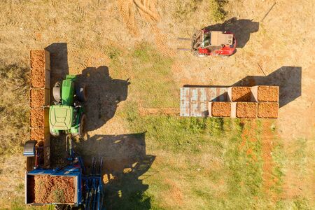 Aerial view of a Carrot picking discharge station with Green tractorの写真素材