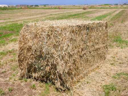 Large square Hay Bale in a field.の写真素材