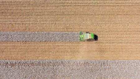 Aerial image of a Large Cotton picker harvesting a field.の写真素材