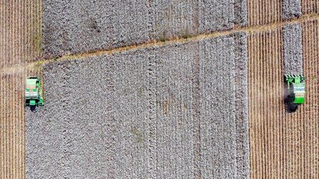 Aerial image of a Large Cotton picker harvesting a field.の写真素材