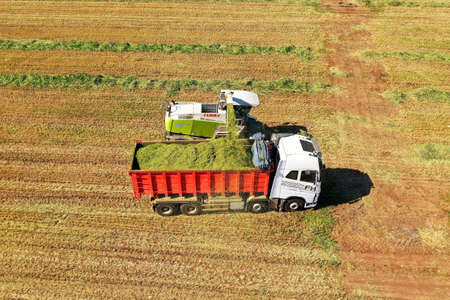 Combine picking and shredding harvested Wheat for Silage and unloads onto a double trailer truck.のeditorial素材