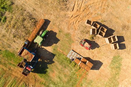 Aerial view of a Carrot picking discharge station with Green tractorの写真素材