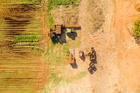Aerial view of a Carrot picking discharge station with Green tractorの写真素材