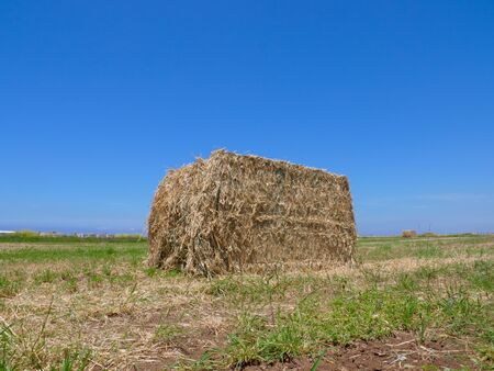 Large square Hay Bale in a field.の写真素材