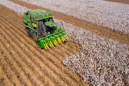 Aerial image of a Large Cotton picker harvesting a field.のeditorial素材