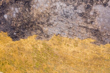 Post Forest fire scorched Black landの写真素材