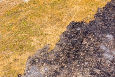 Post Forest fire scorched Black landの写真素材