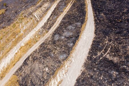 Post Forest fire scorched land and trail crossing.の写真素材