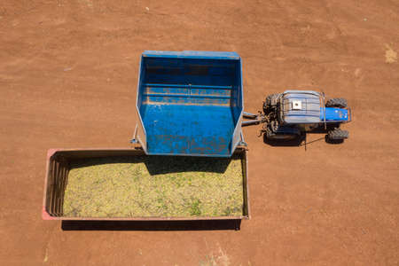 Almond picker harvester discharging, Aerial view.の写真素材