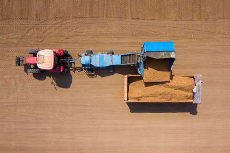 Almond picker harvester discharging, Aerial view.の写真素材