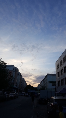 sunset sceneryのeditorial素材