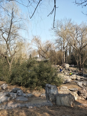 A corner of the parkの写真素材