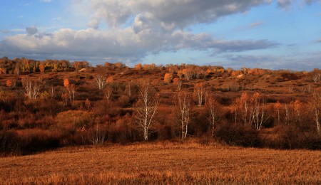 Grasslandの写真素材