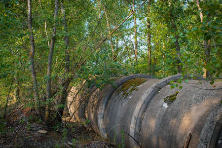Abandoned concrete pipes in the forest.の写真素材